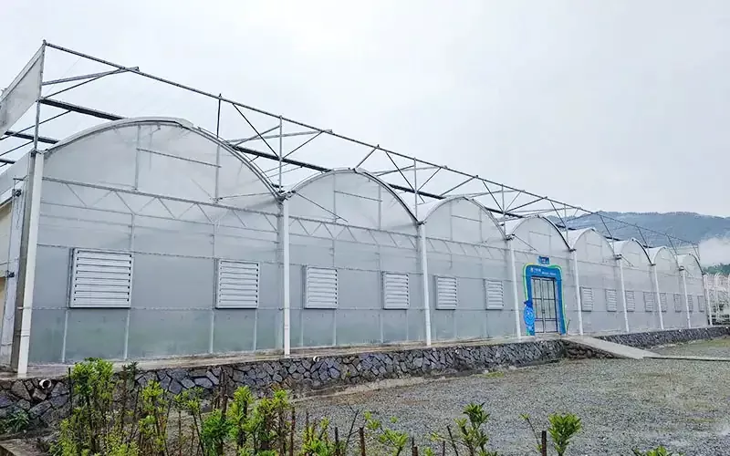 Technologická transformácia plastových skleníkov: tajná zbraň na zdvojnásobenie výnosov