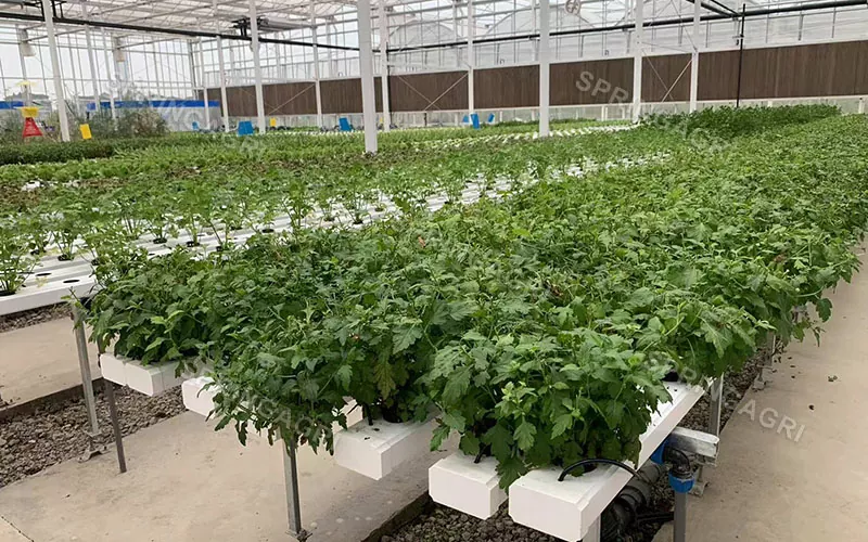 Vertikálne NFT Farming Hydroponické pestovateľské systémy